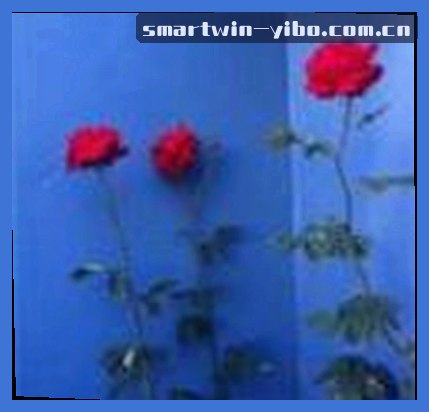 刘芳